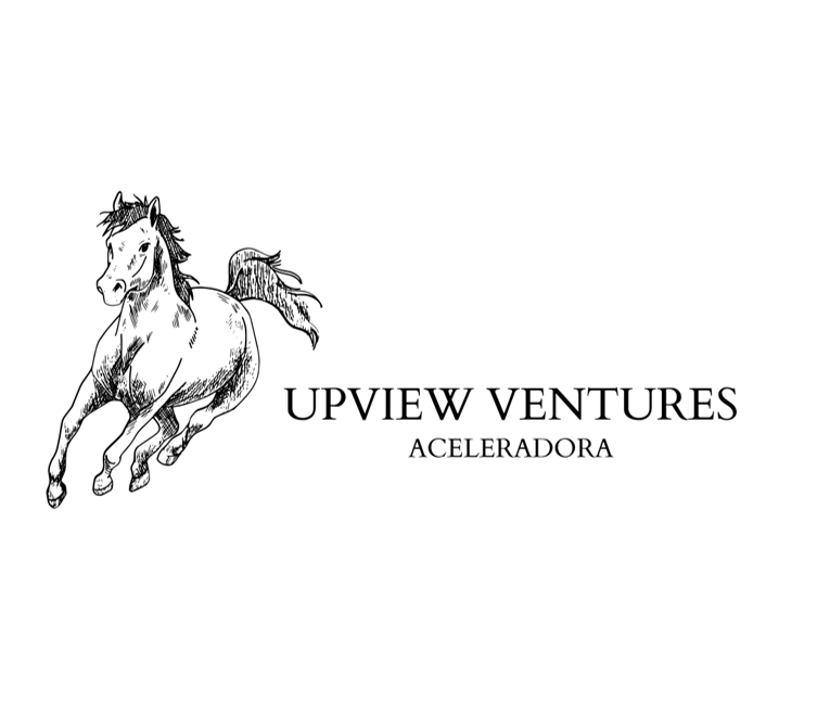 UPVIEW_VENTURES_OISUMMIT2024